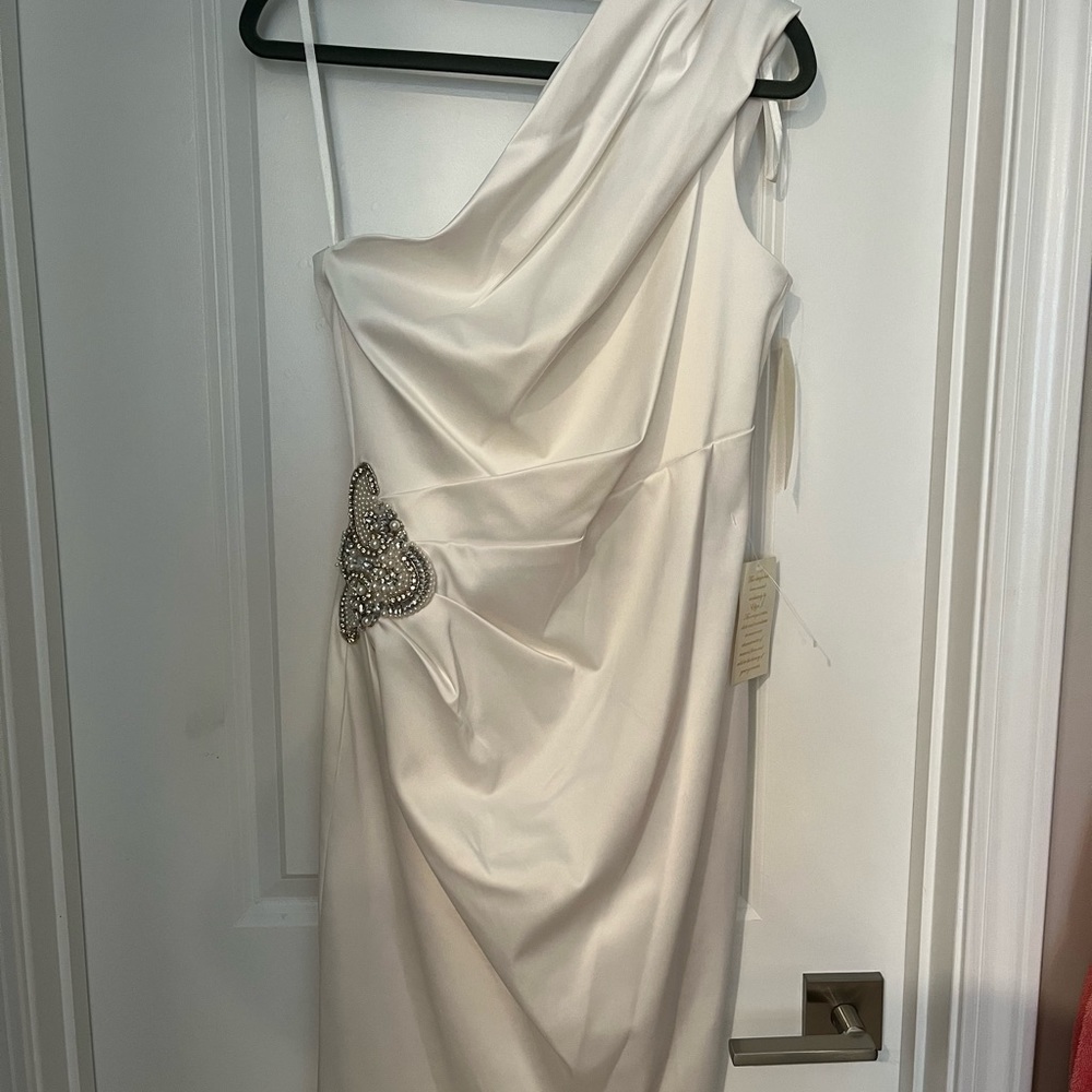 Eliza J. Missy dress